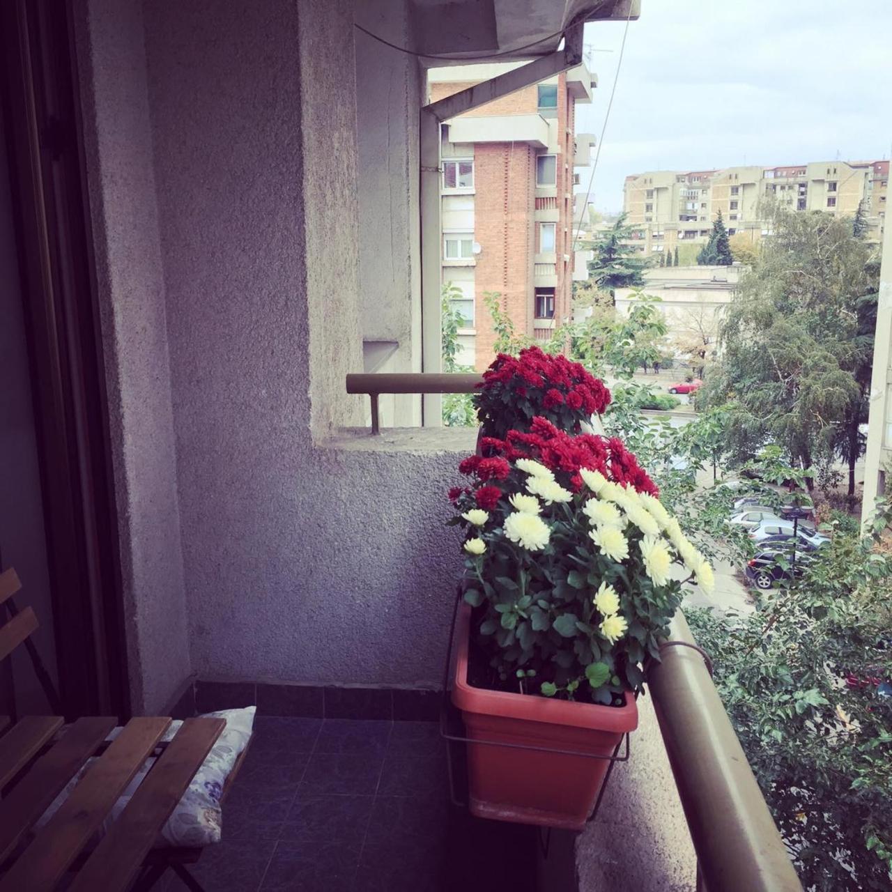 3 Bedroom Home With Parking Garage In The Heart Of Skopje Ngoại thất bức ảnh